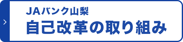 自己改革の取り組み